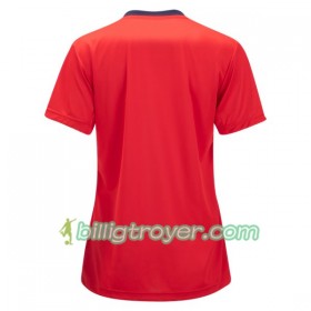 Billige Fotballdrakter Spania Hjemmedraktsett VM - Kvinner 2019 Kortermet